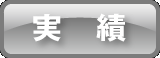 実績